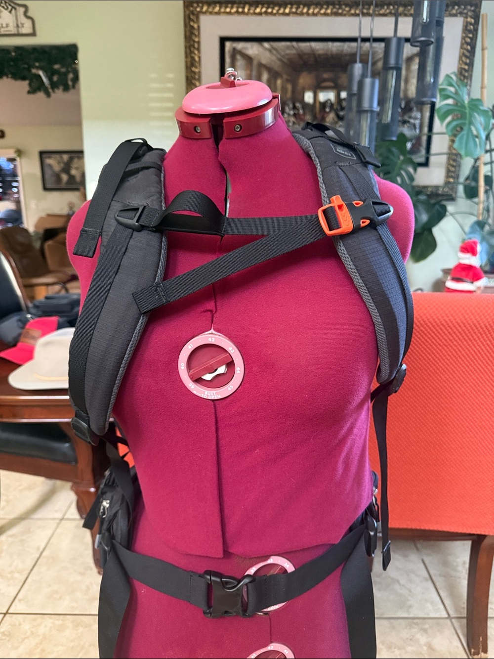 REI Co-op Trail backpack- pre-loved, excellent condition. 40L - Picture 3 of 8